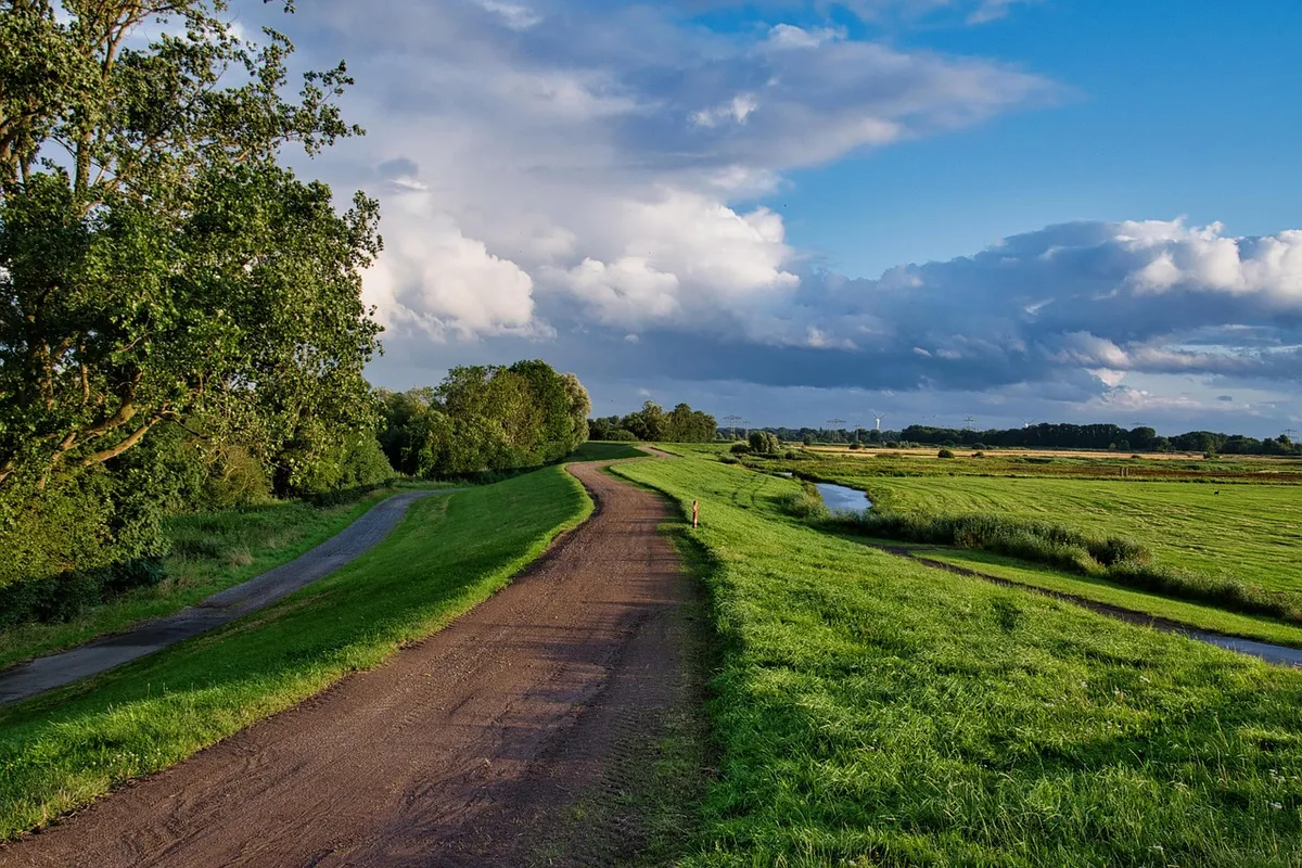 path, grass, dike, clouds, northern germany, dike path, nature reserve, nature, idyll, landscape, quiet, meditation, path, landscape, meditation, meditation, me