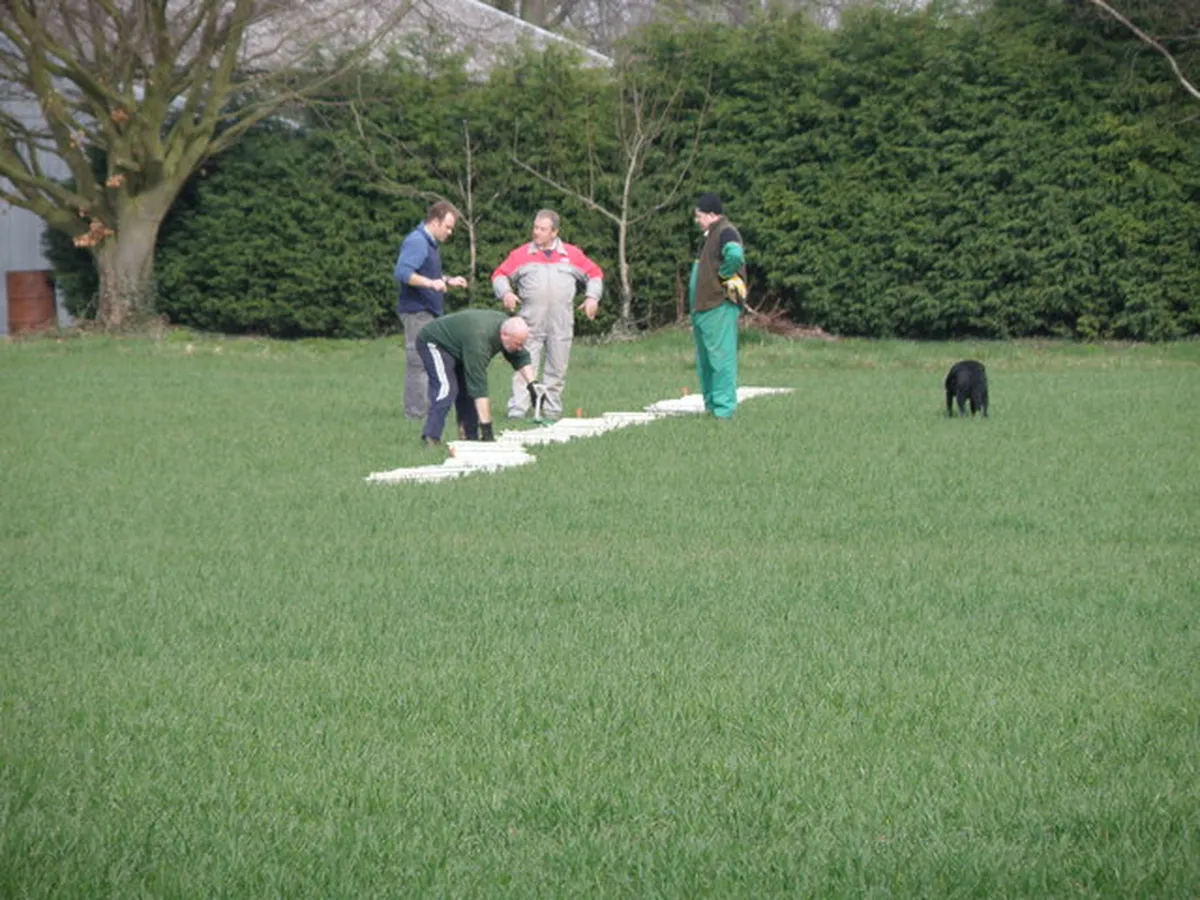 Four men and their dog went to calibrate their spreader, adult, athlete, ball, child, competition, grass, landscape, leisure, man, motion, people, recreation