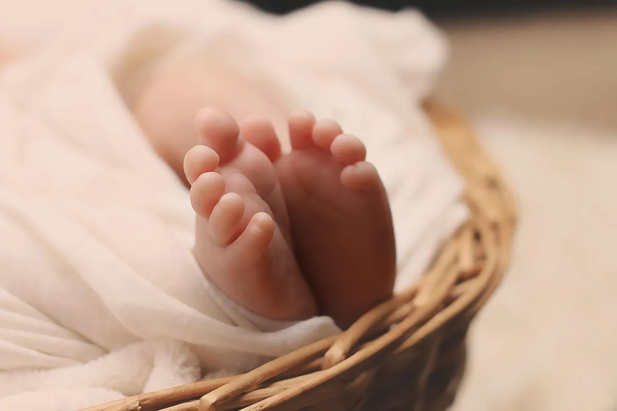 newborn, baby, feet, young, delicate, toes, small, child, new, little, childhood, foot, life, infant, newborn baby, skin, tiny, human, health, kid, soft, born,