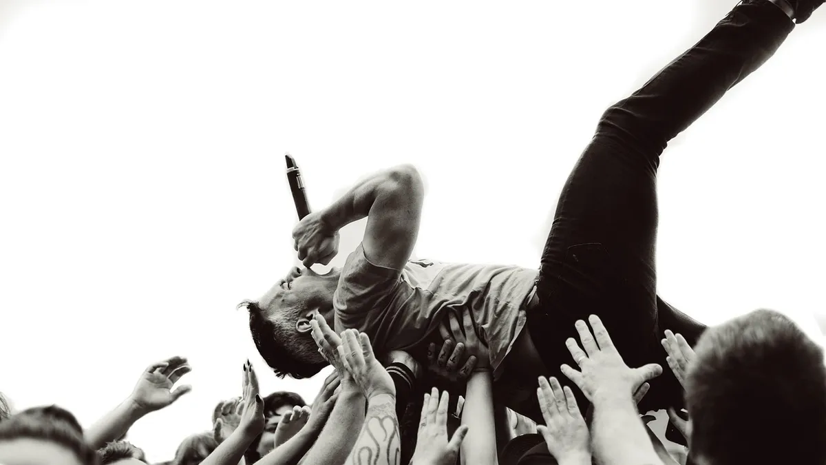 band, music, live music, concert, crowd, crowd surfing, festival, entertainment, people, performance, musician, singer, rock, performer, show, band, band, band,